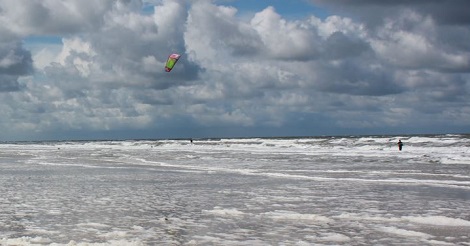 Detail of photograph by Melaniesophie96 (Own work) [CC BY-SA 4.0 (http://creativecommons.org/licenses/by-sa/4.0)], via Wikimedia Commons