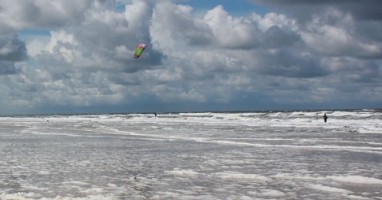 Detail of photograph by Melaniesophie96 (Own work) [CC BY-SA 4.0 (http://creativecommons.org/licenses/by-sa/4.0)], via Wikimedia Commons
