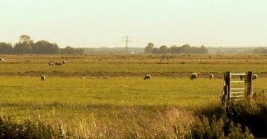 Detail of photograph by Glasbakje64 (Eigen werk) [CC BY-SA 3.0 (http://creativecommons.org/licenses/by-sa/3.0)], via Wikimedia Commons